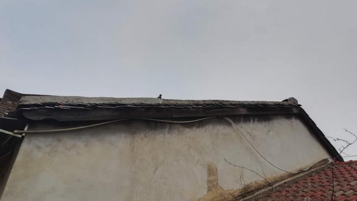 微信图片_20190510084430.jpg