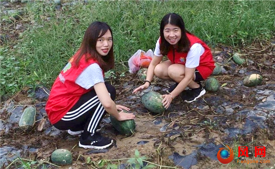 2eb067b37d721967a551de4d3639628d_550x3800x2.jpg