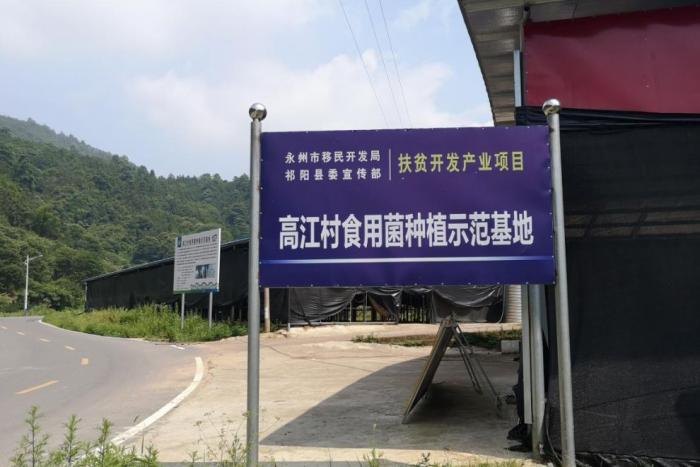 高江村食用菌种植示范基地.jpeg
