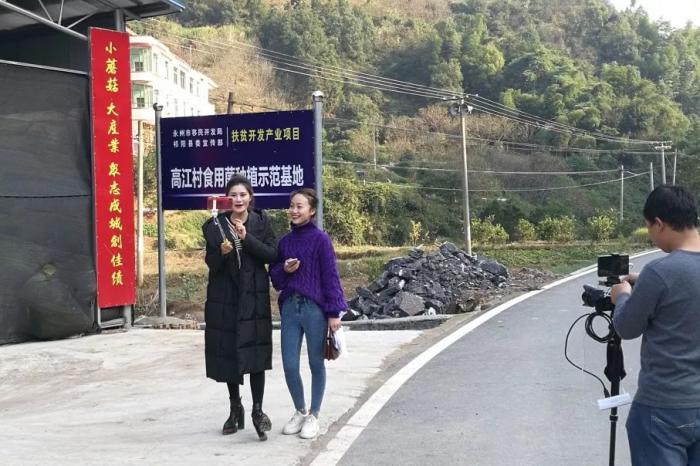 网络主播直播解说平菇生产工艺.jpeg