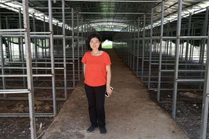 李年红：高江村食用菌种植示范基地总经理.jpeg
