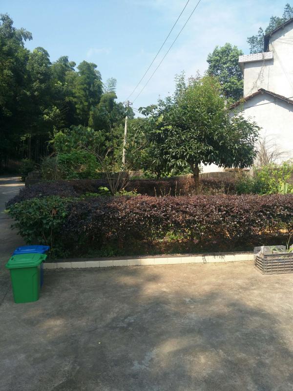 微信图片_20190808111238.jpg