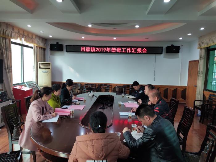 永州市妇联深入祁阳县肖家镇督导禁毒工作.jpg