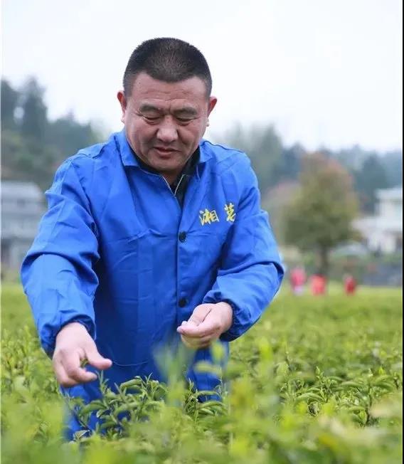 微信图片_20200402163232.jpg