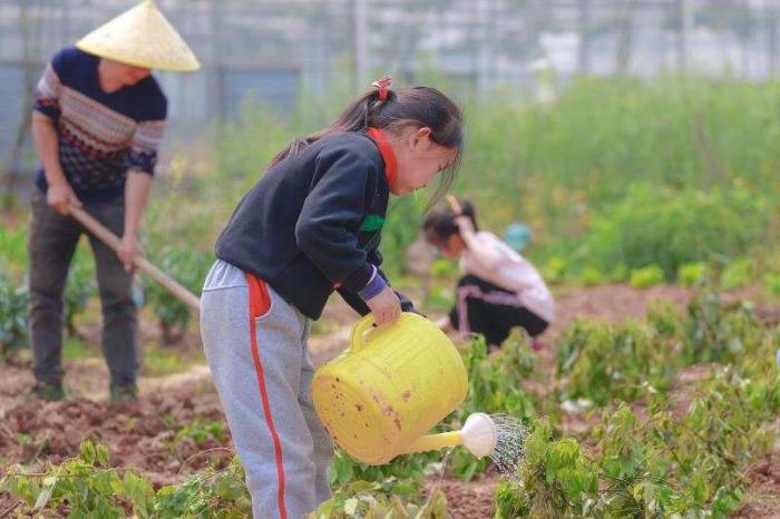 田园乐趣.jpg