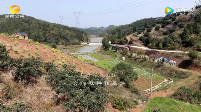 QQ截图20200518170918.jpg