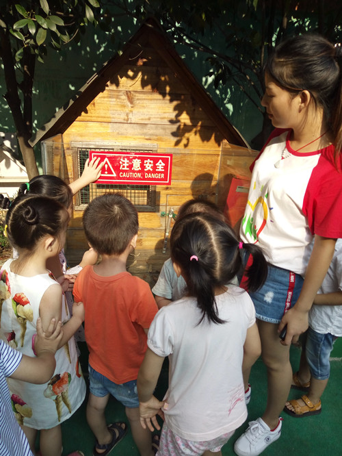 a08ace95e93a0f5b489eca68e5242d6.jpg