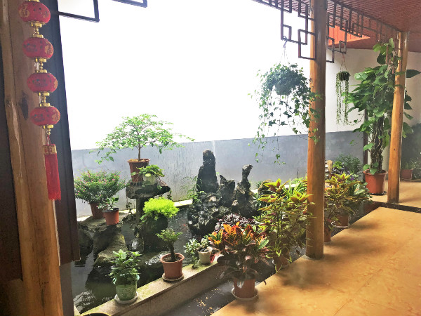 猪舍大变样.jpg