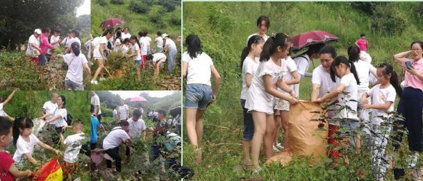 微信截图_20200803151150-6_副本.jpg