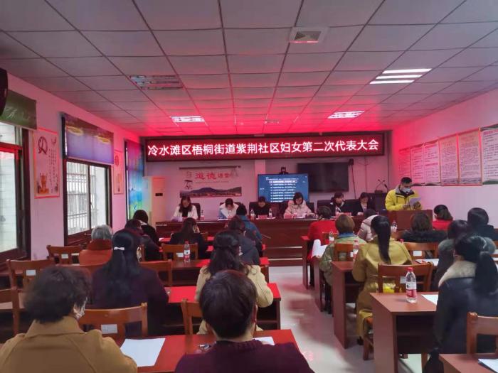 区妇联党组书记贺玲玲讲话 (2).jpg