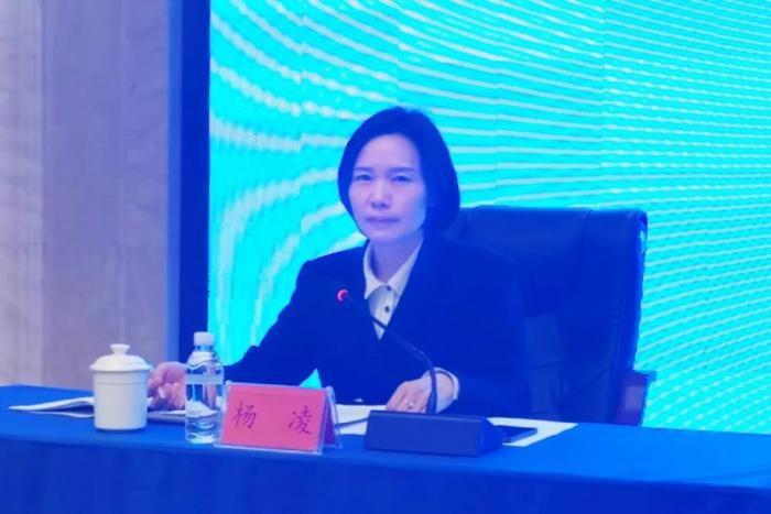 　州妇儿工委副主任、州妇联主席杨凌传达省妇儿工委终期评估工作要求并安排当前工作.jpg