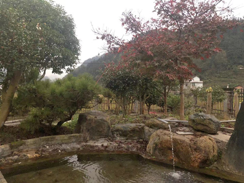 3.院内假山流水.jpg