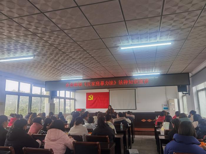 佘市桥镇反家暴法宣讲.jpg
