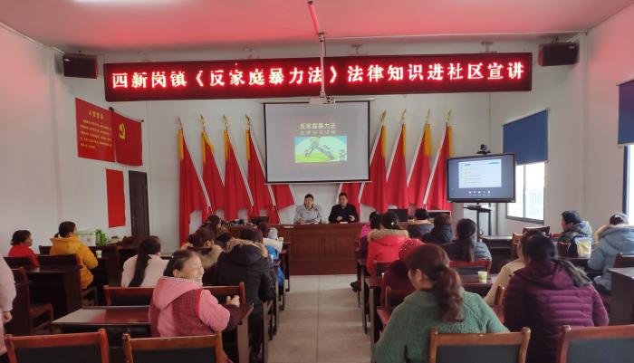 巾帼维权法治宣传四新岗镇.jpg