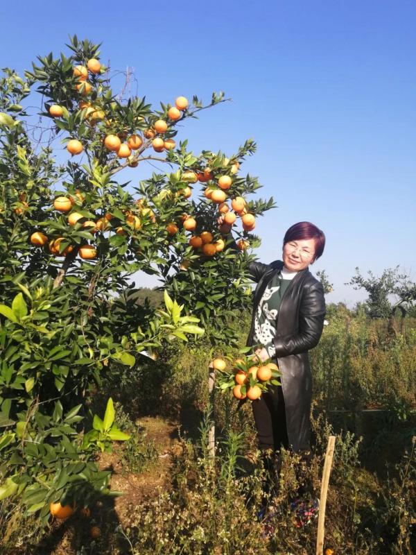 微信图片_20210310092612.jpg