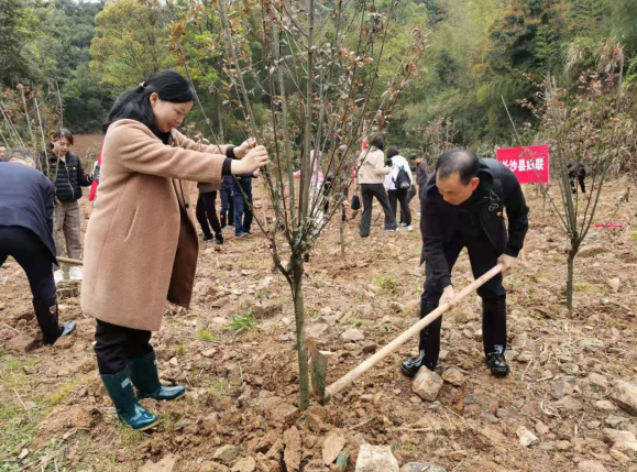 微信截图_20210323164726.png
