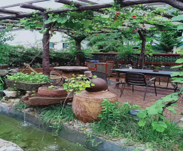 城市创建最美庭院评选的参赛庭院.png