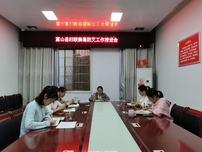 蓝山县妇联禁毒防艾工作推进会1.jpg