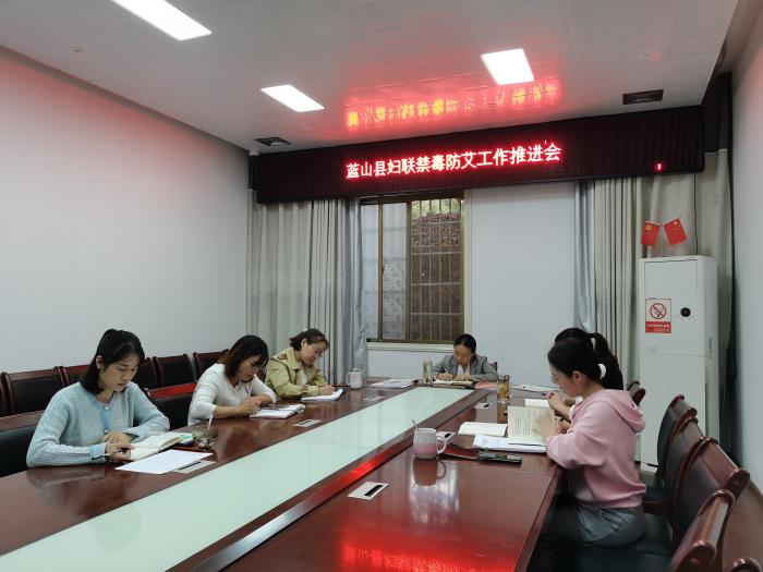 蓝山县妇联禁毒防艾工作推进会3.jpg