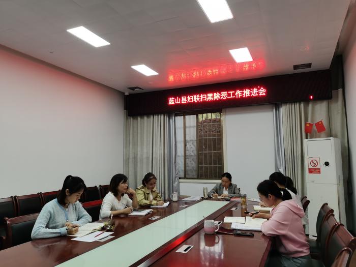 蓝山县妇联扫黑除恶工作推进会1.jpg
